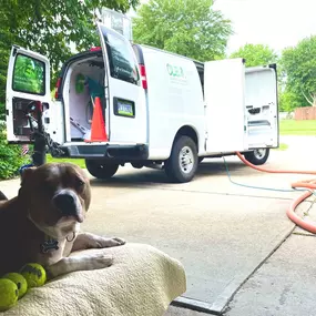 The CLE Carpet Cleaning difference is one person harnessing the power of high-tech equipment, advanced eco-friendly products, and industry training and certifications.
Founded by Chris McCarthy and his wife Shannon, the business model is simple: treating every home as if it were their own.
Certified by the Institute of Inspection Cleaning and Restoration, Chris takes a unique, detail-oriented approach to each job, whether it’s residential carpet cleaning, commercial carpet cleaning or upholstery