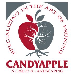 Bild von Candyapple Nursery & Landscaping