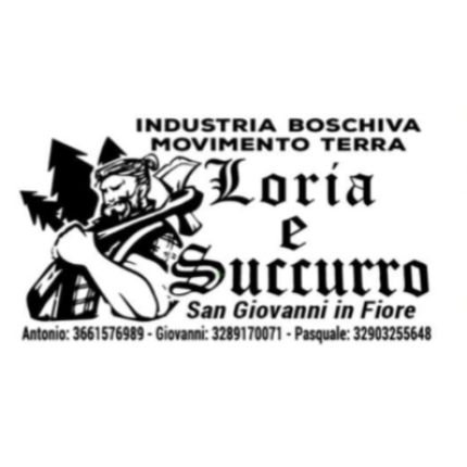 Logo von Industria Boschiva Movimento Terra Loria & Succurro