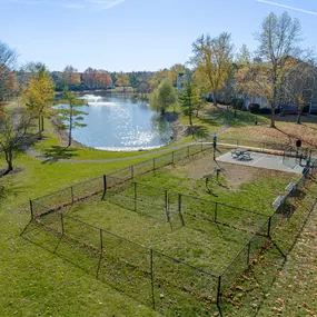Dog Park