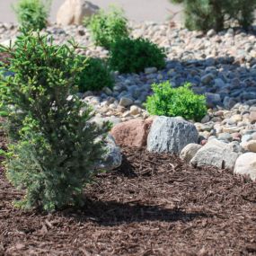 create texture in your garden with a combination of rocks, mulch, plants, and other garden features