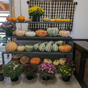 A shelf full of fall flowers, colorful mums, orange and white pumpkins, and gourds.