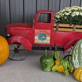 Come in for our fall mums, pansies, pumpkins, gourds, and Indian corn!