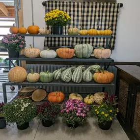 A shelf full of fall flowers, colorful mums, orange and white pumpkins, and gourds.