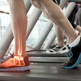 Bild von Patrick Hall, DPM