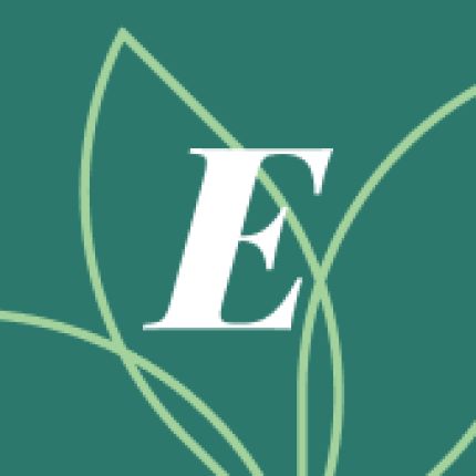 Logo van Elemy