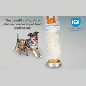 IQI white paper on chicken plasma powders