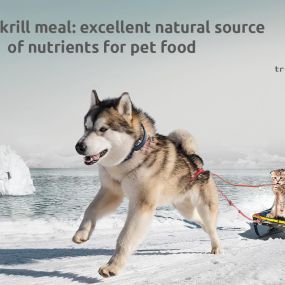 IQI white paper on full fat krill in pet food