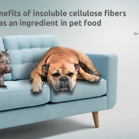 Bild von IQI Trusted Petfood Ingredients