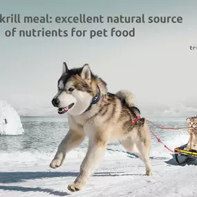 IQI white paper on full fat krill in pet food