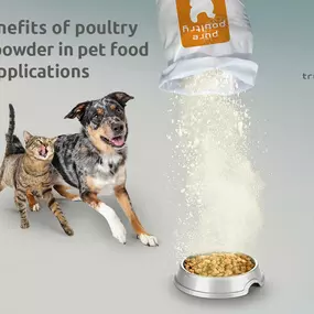 IQI white paper on chicken plasma powders