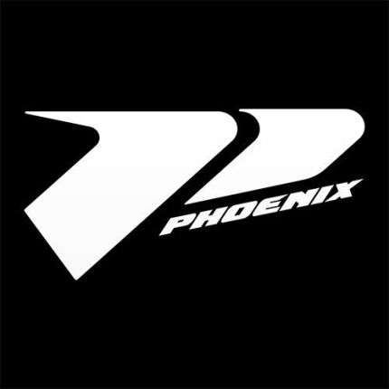 Logo from Phoenix Bats