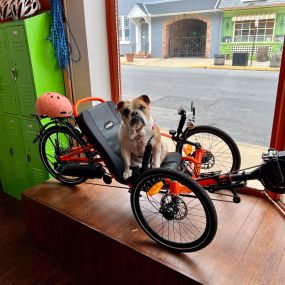 All friends welcomed at Lancaster Recumbent!