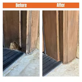Before and after wood rot repair with Preservan