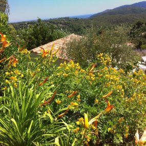 Bild von Jardin Terre de Provence - Paysagiste