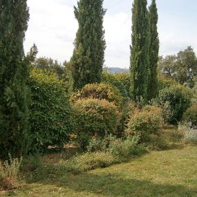 Bild von Jardin Terre de Provence - Paysagiste