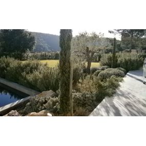 Bild von Jardin Terre de Provence - Paysagiste