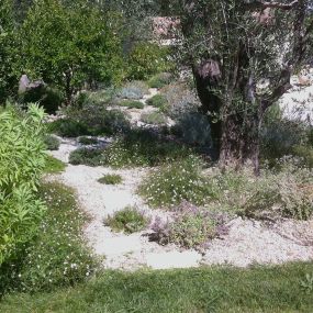 Bild von Jardin Terre de Provence - Paysagiste