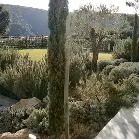 Bild von Jardin Terre de Provence - Paysagiste