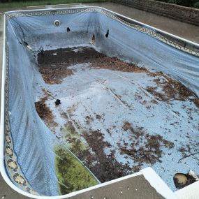 New Pool Liner