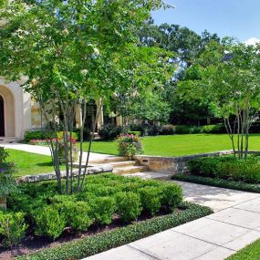 Landscape design renovation.