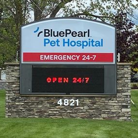 Bild von BluePearl Pet Hospital
