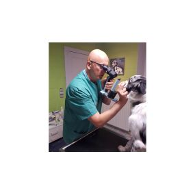 Ophtalmologie Vétérinaire - Dr Francois Ledoux