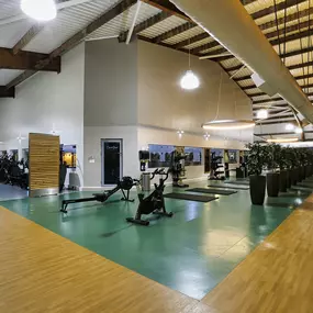 Bild von David Lloyd Renfrew