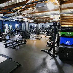 Bild von David Lloyd Renfrew