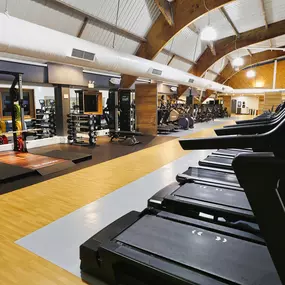 Bild von David Lloyd Renfrew