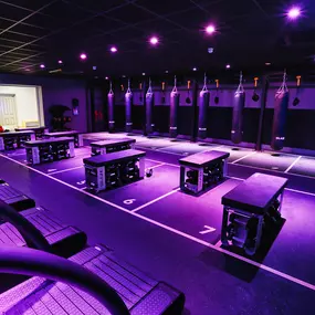 Bild von David Lloyd Renfrew