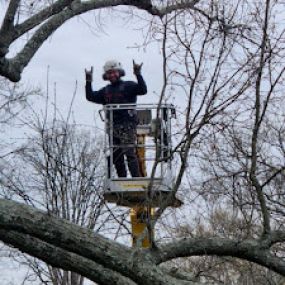 Madison Tree Care & Landscaping 
Serving Milford and surrounding areas for over 75 years