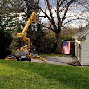 Madison Tree Care & Landscaping 
Serving Milford and surrounding areas for over 75 years