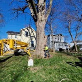 Madison Tree Care & Landscaping 
Serving Milford and surrounding areas for over 75 years