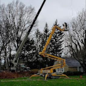 Madison Tree Care & Landscaping 
Serving Milford and surrounding areas for over 75 years