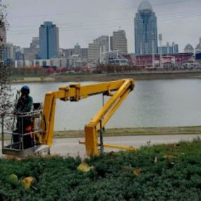 Madison Tree Care & Landscaping 
Serving Milford and surrounding areas for over 75 years