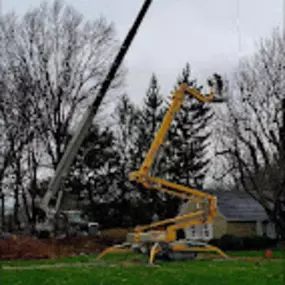 Madison Tree Care & Landscaping 
Serving Milford and surrounding areas for over 75 years