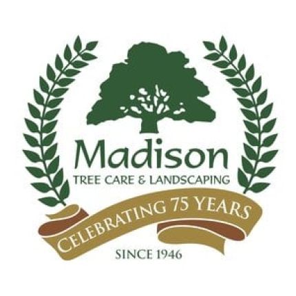 Logotyp från Madison Tree Care & Landscaping, Inc.