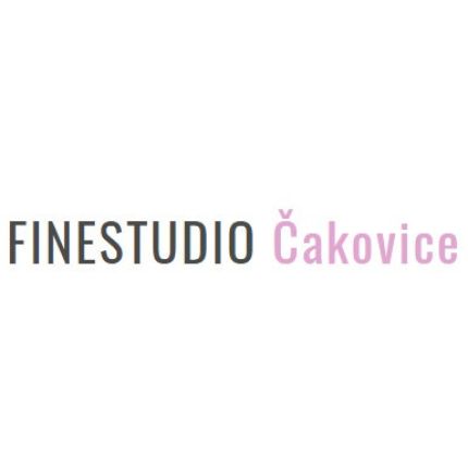 Logo de FINE Studio