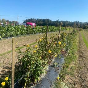 Bild von Johnson Family Farm