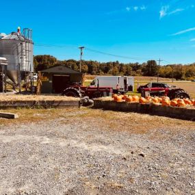 Bild von Johnson Family Farm