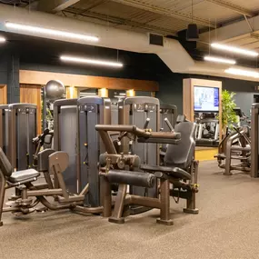 Bild von David Lloyd Lichfield