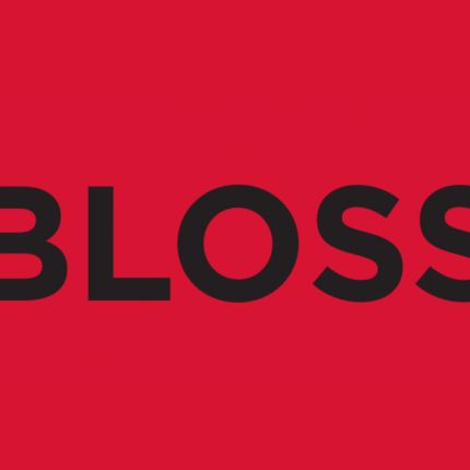 Logo od Handelsagentur Steffen Bloss