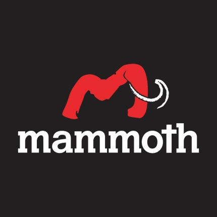 Logo fra Mammoth Plumbing