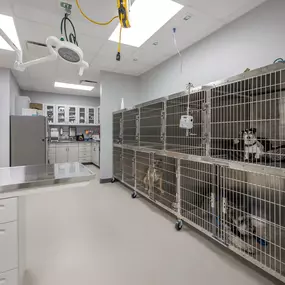 Bild von Livewell Animal Urgent Care of East Nashville