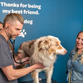 Bild von Livewell Animal Hospital of Anchorage