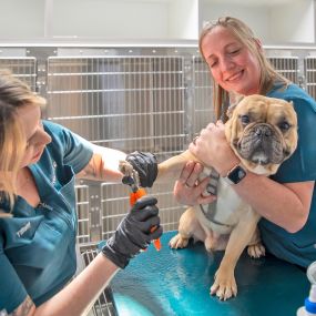 Bild von Livewell Animal Hospital of Huntersville