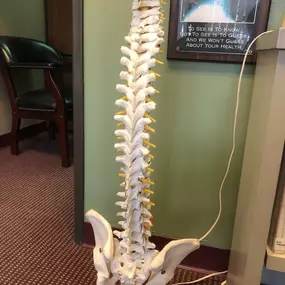 Bild von Chiropractic Wellness Group