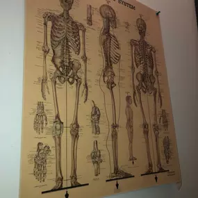 Bild von Chiropractic Wellness Group