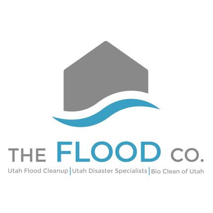 Logo van The Flood Co.